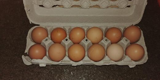 A dozen Farm Fresh
Eggs
